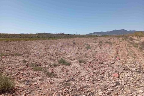 Helårsgrund i Pinoso, Alicante, Pinoso - € 39.000 | Ref: SF0515 - foto 6